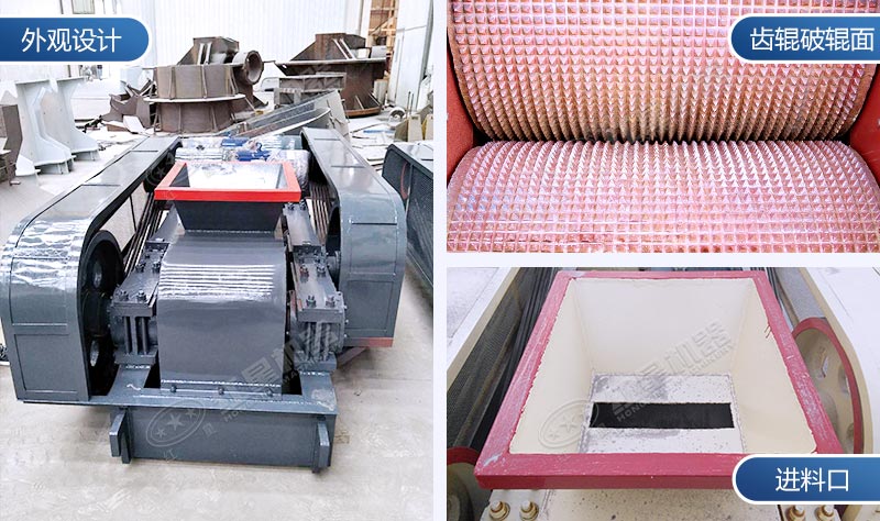 對輥式破碎機(jī)細(xì)節(jié)展示